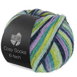 Lana Grossa MEILENWEIT 6-FACH 150g Cosy Socks Multi Stripes