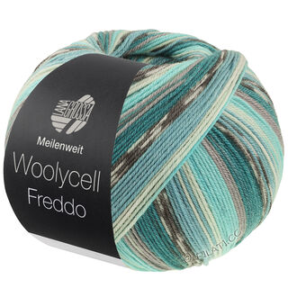 Lana Grossa MEILENWEIT 100g Woolycell Freddo