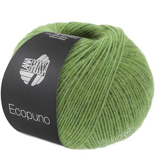 Lana Grossa ECOPUNO