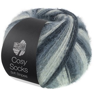 Lana Grossa MEILENWEIT 100g Cosy Socks Soft Stripes